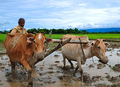 Discover Bangladesh Tour