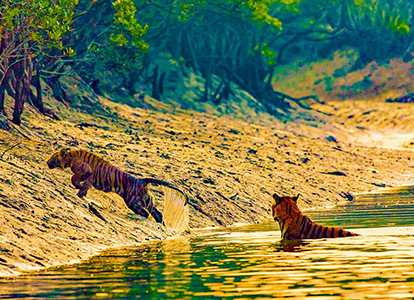 sundarban tour Bangladesh's southern part