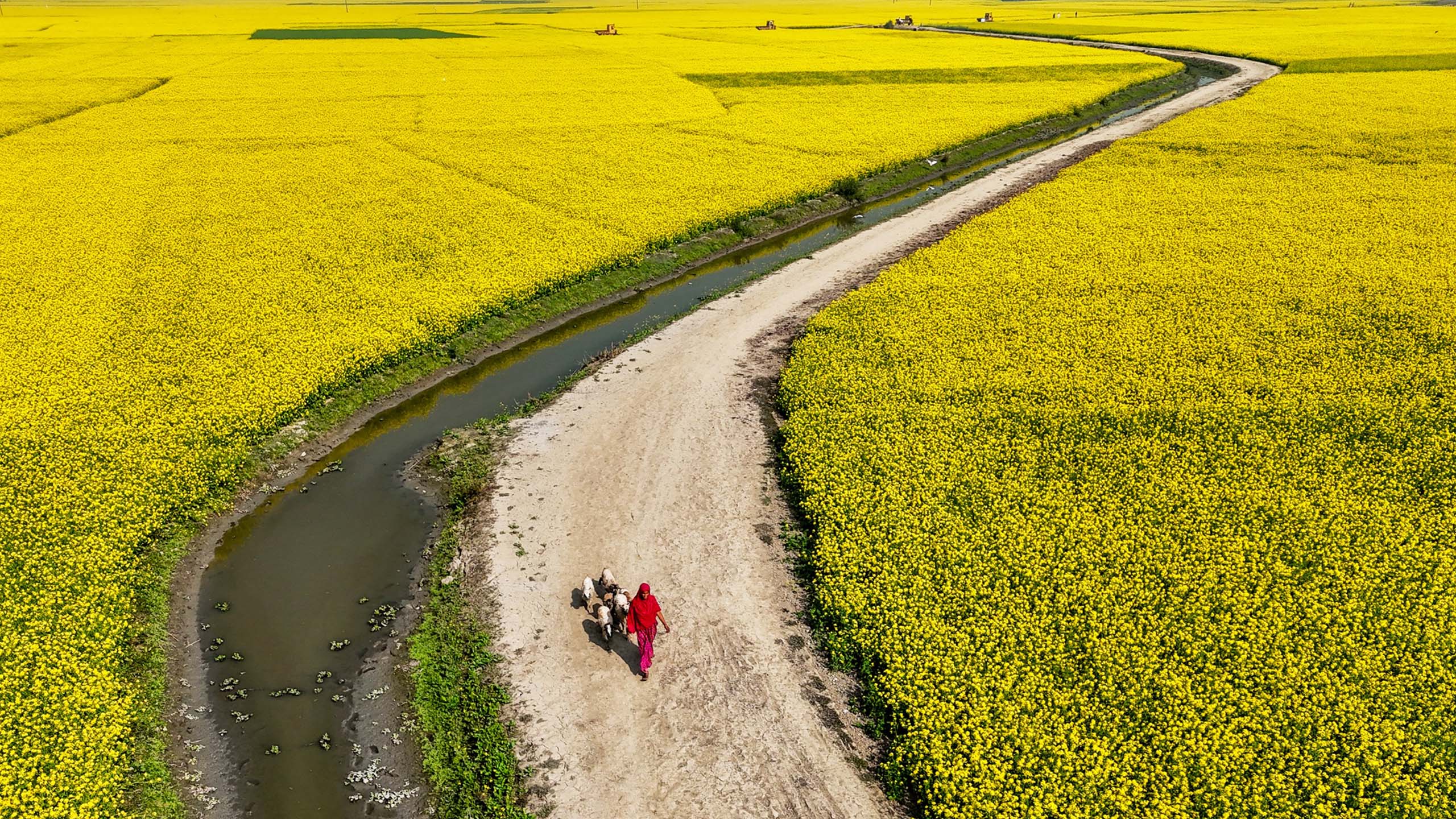 image of Bangladesh natural beauty and heritage